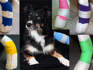 Fly_Verband